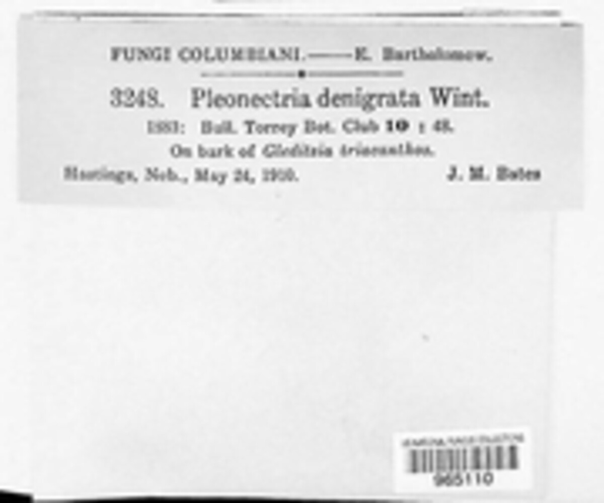 Pleonectria image